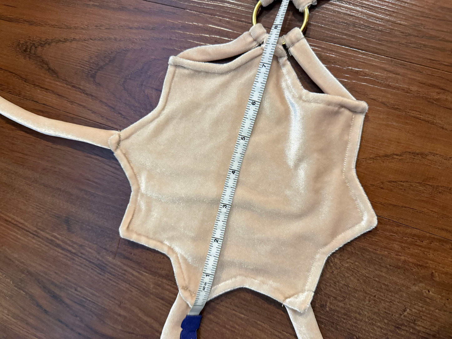 Tan Velvet Sunburst Top (Closet Sale)