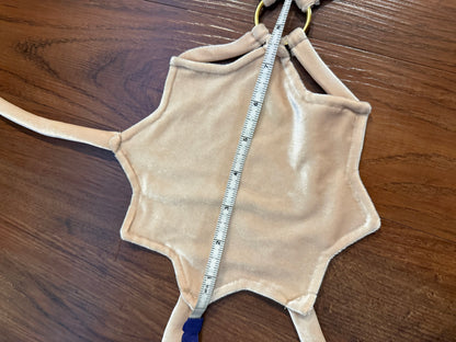 Tan Velvet Sunburst Top (Closet Sale)